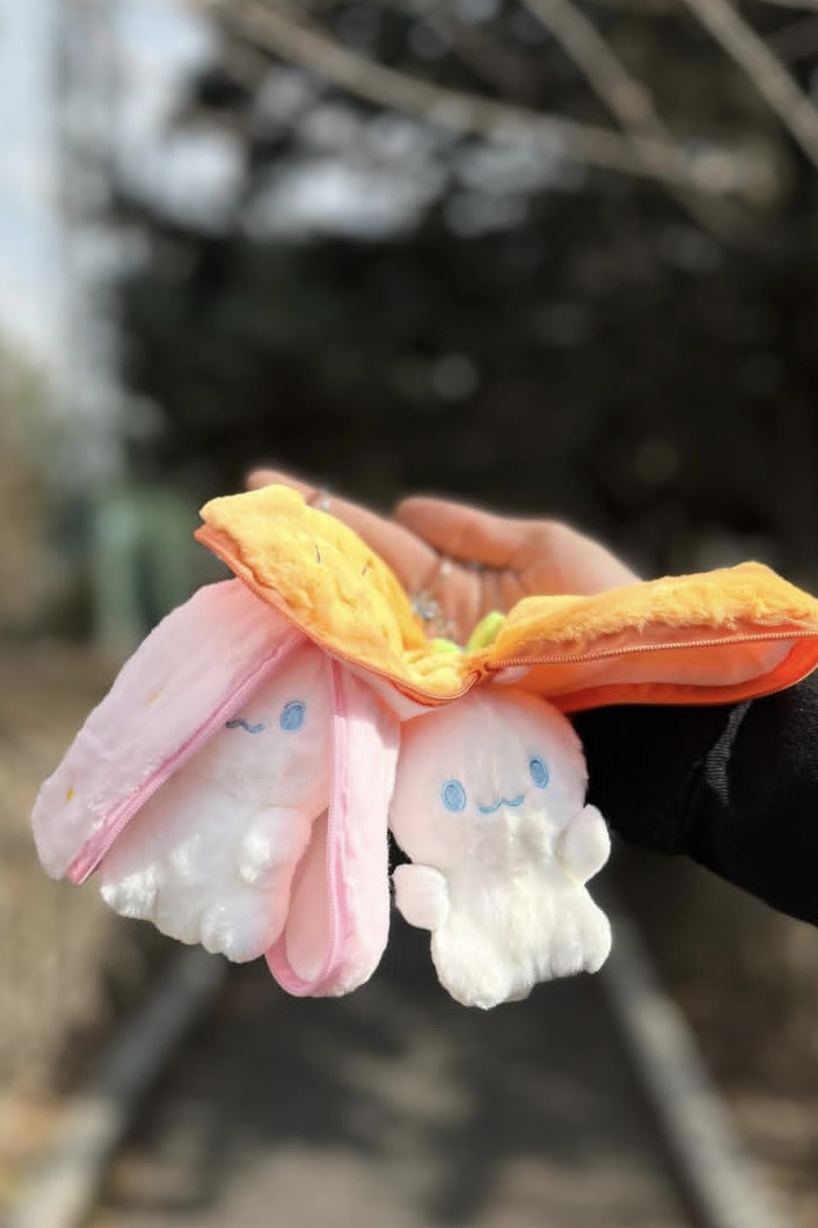 خرگوش سوپرایزی