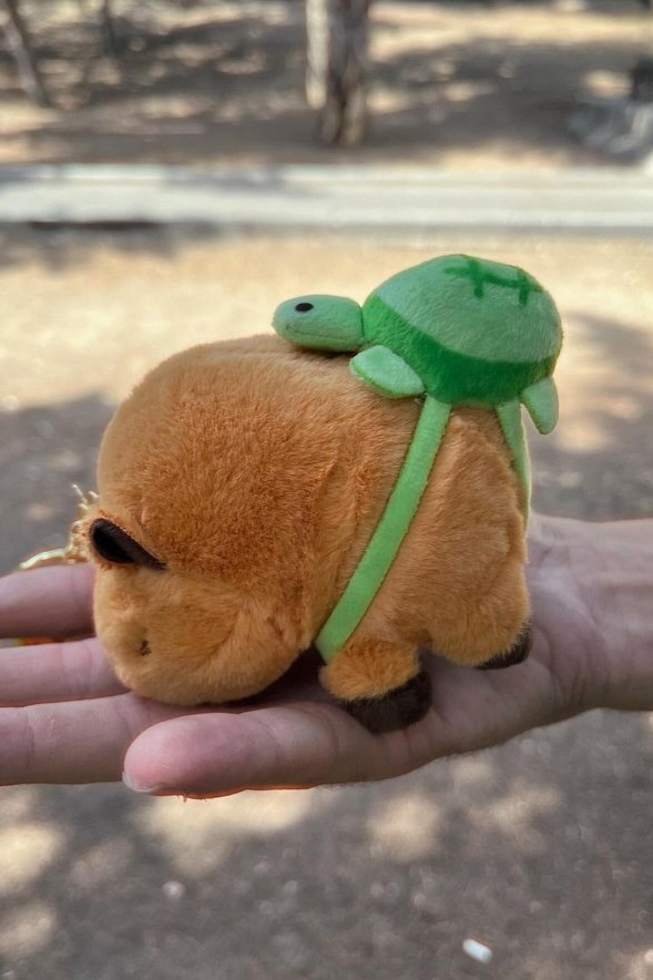 کاپی بارا کوله دار