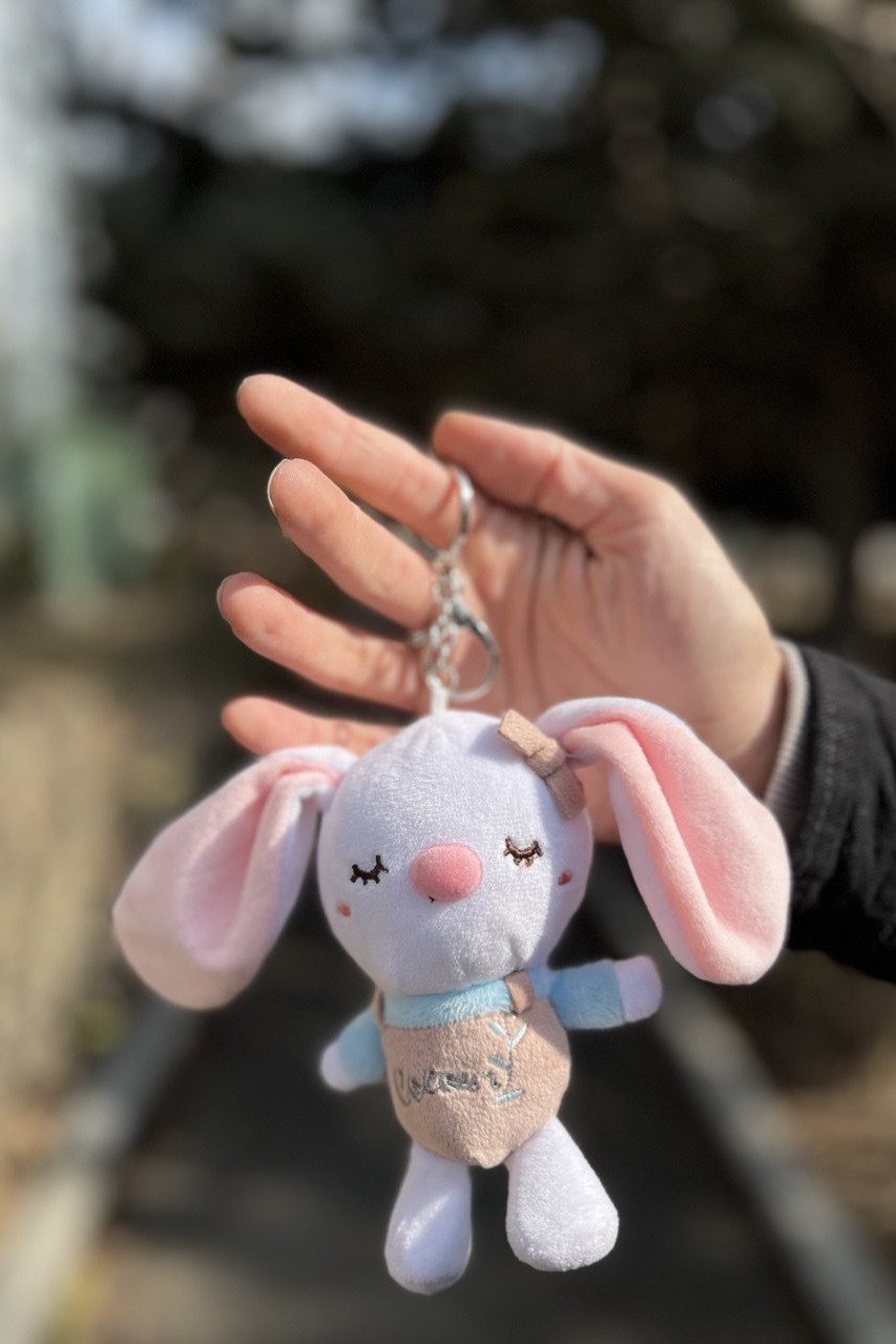 آویز عروسک خرگوش