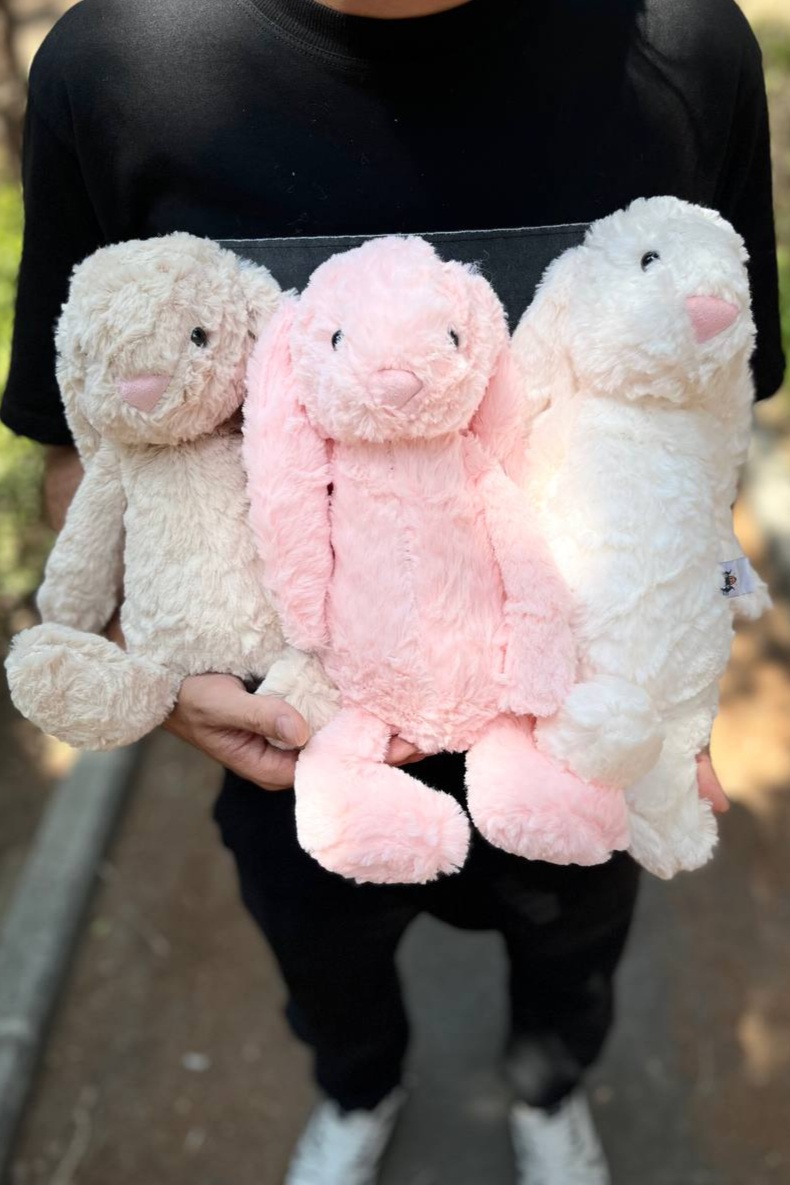 خرگوش جیلی کت