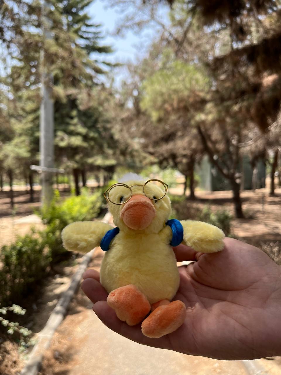 آویز جوجه اردک
