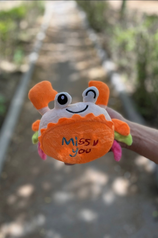 خرچنگ فانتزی miss you